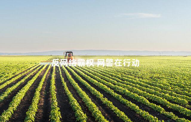 反网络霸权 网警在行动